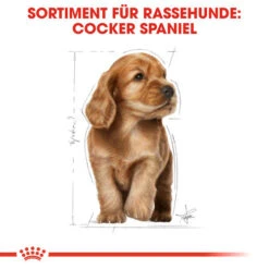 Royal Canin Cocker Puppy - Hundefutter -Heimtierbedarf Verkäufe royal canin cocker puppy hondenvoer 138226 0500 none