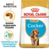 Royal Canin Cocker Puppy - Hundefutter -Heimtierbedarf Verkäufe royal canin cocker puppy hondenvoer 140501 0500 none