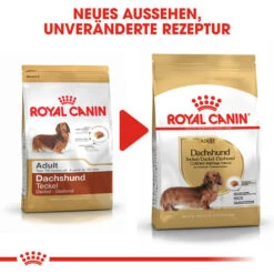 Royal Canin Dachshund Adult - Hundefutter 13 Royal Canin Dachshund Adult - Hundefutter -Heimtierbedarf Verkäufe royal canin dachshund adult hondenvoer 138286 0500 none