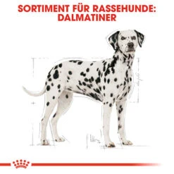 Royal Canin Dalmatian Adult - Hundefutter -Heimtierbedarf Verkäufe royal canin dalmatian adult hondenvoer 138499 0500 none