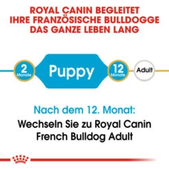 Royal Canin French Bulldog Puppy - Hundefutter 14 Royal Canin French Bulldog Puppy - Hundefutter -Heimtierbedarf Verkäufe royal canin french bulldog puppy hondenvoer 138691 0500 none