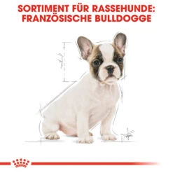Royal Canin French Bulldog Puppy - Hundefutter 13 Royal Canin French Bulldog Puppy - Hundefutter -Heimtierbedarf Verkäufe royal canin french bulldog puppy hondenvoer 138718 0500 none