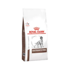 Royal Canin Gastrointestinal Hund