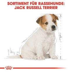 Royal Canin Jack Russell Terrier Puppy - Hundefutter -Heimtierbedarf Verkäufe royal canin jack russell terrier puppy hondenvoer 139318 0500 none