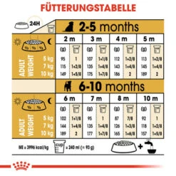 Royal Canin Jack Russell Terrier Puppy - Hundefutter -Heimtierbedarf Verkäufe royal canin jack russell terrier puppy hondenvoer 139327 0500 none