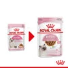 Royal Canin Kitten In Gravy - Katzenfutter 1 Royal Canin Kitten In Gravy - Katzenfutter -Heimtierbedarf Verkäufe royal canin kitten in gravy kattenvoer 207080 0500 none