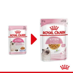 Royal Canin Kitten In Jelly - Katzenfutter -Heimtierbedarf Verkäufe royal canin kitten in jelly kattenvoer 207116 0500 none
