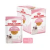 Royal Canin Kitten In Jelly - Katzenfutter 1 Royal Canin Kitten In Jelly - Katzenfutter -Heimtierbedarf Verkäufe royal canin kitten in jelly kattenvoer 207143 0500 none
