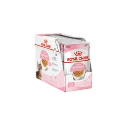 Royal Canin Kitten Sterilised Gelee - Beutel -Heimtierbedarf Verkäufe royal canin kitten sterilised in jelly kattenvoer 201959 0500 none