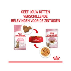 Royal Canin Kitten Sterilised Gelee - Beutel -Heimtierbedarf Verkäufe royal canin kitten sterilised in jelly maaltijdzakje 207212 0500 none