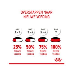 Royal Canin Kitten Sterilised Gelee - Beutel -Heimtierbedarf Verkäufe royal canin kitten sterilised in jelly maaltijdzakje 207224 0500 none