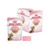 Royal Canin Kitten Sterilised Gelee - Beutel -Heimtierbedarf Verkäufe royal canin kitten sterilised in jelly maaltijdzakje 207230 0500 none