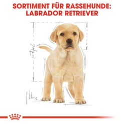 Royal Canin Labrador Retriever Puppy - Hundefutter -Heimtierbedarf Verkäufe royal canin labrador retriever puppy hondenvoer 139438 0500 none