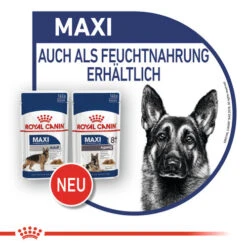 Royal Canin Maxi Ageing 8+ Wet - Hundefutter -Heimtierbedarf Verkäufe royal canin maxi ageing 8 wet hondenvoer 129116 0500 none