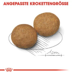 Royal Canin Medium Adult - Hundefutter -Heimtierbedarf Verkäufe royal canin medium adult hondenvoer 128546 0500 none