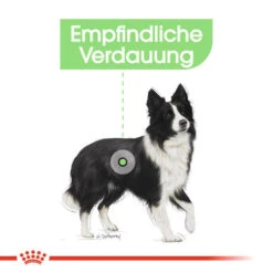 Royal Canin Medium Digestive Care - Hundefutter -Heimtierbedarf Verkäufe royal canin medium digestive care hondenvoer 132788 0500 none