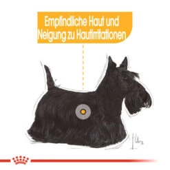 Royal Canin Dermacomfort Mini - Hundefutter -Heimtierbedarf Verkäufe royal canin mini dermacomfort hondenvoer 132977 0500 none