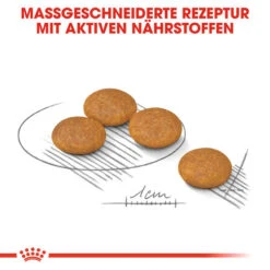 Royal Canin Dermacomfort Mini - Hundefutter -Heimtierbedarf Verkäufe royal canin mini dermacomfort hondenvoer 132995 0500 none