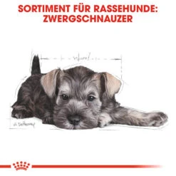 Royal Canin Mini Schnauzer Puppy - Hundefutter -Heimtierbedarf Verkäufe royal canin mini schnauzer puppy hondenvoer 140182 0500 none
