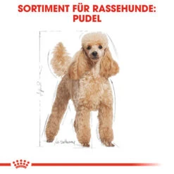 Royal Canin Poodle Adult - Hundefutter -Heimtierbedarf Verkäufe royal canin poodle adult hondenvoer 139663 0500 none