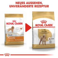 Royal Canin Poodle Adult - Hundefutter -Heimtierbedarf Verkäufe royal canin poodle adult hondenvoer 139690 0500 none