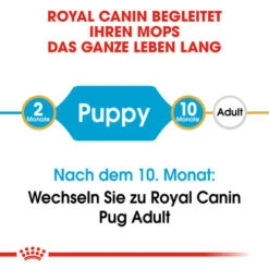Royal Canin Pug Puppy - Hundefutter -Heimtierbedarf Verkäufe royal canin pug puppy hondenvoer 139858 0500 none