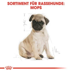 Royal Canin Pug Puppy - Hundefutter -Heimtierbedarf Verkäufe royal canin pug puppy hondenvoer 139885 0500 none