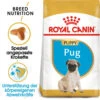 Royal Canin Pug Puppy - Hundefutter -Heimtierbedarf Verkäufe royal canin pug puppy hondenvoer 139921 0500 none