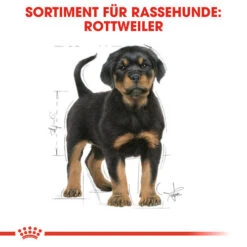 Royal Canin Rottweiler Puppy - Hundefutter -Heimtierbedarf Verkäufe royal canin rottweiler puppy hondenvoer 140029 0500 none