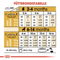 Royal Canin Rottweiler Puppy - Hundefutter -Heimtierbedarf Verkäufe royal canin rottweiler puppy hondenvoer 140038 0500 none