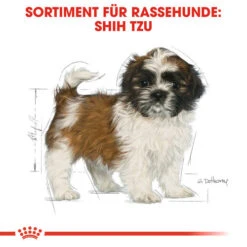 Royal Canin Shih Tzu Puppy - Hundefutter 13 Royal Canin Shih Tzu Puppy - Hundefutter -Heimtierbedarf Verkäufe royal canin shih tzu junior hondenvoer 140411 0500 none