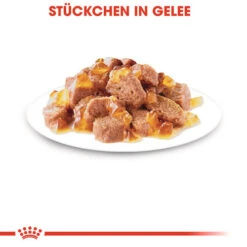 Royal Canin Sterilised In Jelly - Katzenfutter -Heimtierbedarf Verkäufe royal canin sterilised in jelly kattenvoer 128144 0500 none