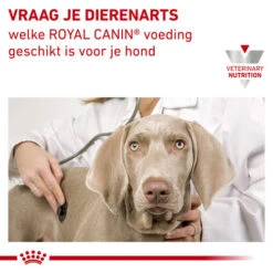 Royal Canin Urinary S/O Hund -Heimtierbedarf Verkäufe royal canin urinary so hond 153688 0500 none
