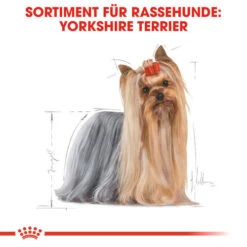 Royal Canin Yorkshire Terrier Adult - Hundefutter -Heimtierbedarf Verkäufe royal canin yorkshire terrier adult hondenvoer 140714 0500 none