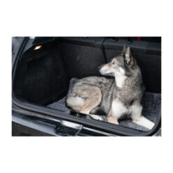 Royal Dry Doormat 12 Royal Dry Doormat -Heimtierbedarf Verkäufe royal dry doormat 187417 0500 none