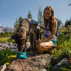 Ruffwear Flat Out Dog Collar - Alpenglow Burst -Heimtierbedarf Verkäufe ruffwear flat out dog collar alpenglow burst 204812 0500 none