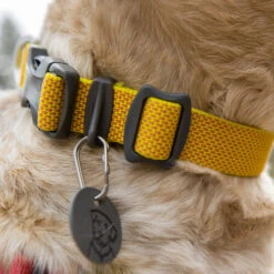 Ruffwear Hi & Light Halsband -Heimtierbedarf Verkäufe ruffwear hi light collar 194258 0500 none