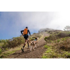 Ruffwear Hi & Light Harness 15 Ruffwear Hi & Light Harness -Heimtierbedarf Verkäufe ruffwear hi light harness 196016 0500 none