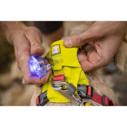 Ruffwear Hi & Light Harness 18 Ruffwear Hi & Light Harness -Heimtierbedarf Verkäufe ruffwear hi light harness 196031 0500 none