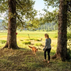 Ruffwear Knot-a-Hitch -Heimtierbedarf Verkäufe ruffwear knot a hitch 124643 0500 none