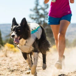 Ruffwear Swamp Cooler -Heimtierbedarf Verkäufe ruffwear swamp cooler 124703 0500 none