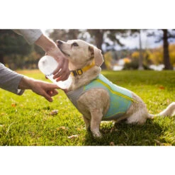Ruffwear Swamp Cooler Zip -Heimtierbedarf Verkäufe ruffwear swamp cooler zip vest 196304 0500 none