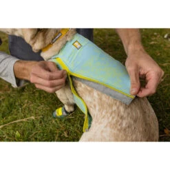 Ruffwear Swamp Cooler Zip -Heimtierbedarf Verkäufe ruffwear swamp cooler zip vest 196307 0500 none
