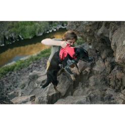 Ruffwear Webmaster Harness -Heimtierbedarf Verkäufe ruffwear webmaster harness 204671 0500 none