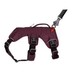 Ruffwear Webmaster Harness -Heimtierbedarf Verkäufe ruffwear webmaster harness 217110 0500 none