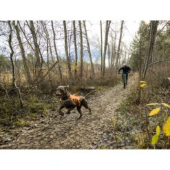 Ruffwear Webmaster Harness -Heimtierbedarf Verkäufe ruffwear webmaster harness 217113 0500 none