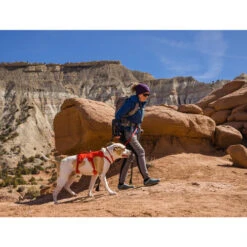 Ruffwear Webmaster Harness -Heimtierbedarf Verkäufe ruffwear webmaster harness 217118 0500 none