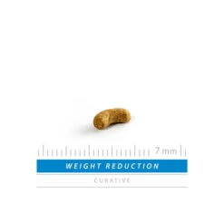 SANIMED Weight Reduction Dog 8 SANIMED Weight Reduction Dog -Heimtierbedarf Verkäufe sanimed weight reduction dog 165226 0500 none