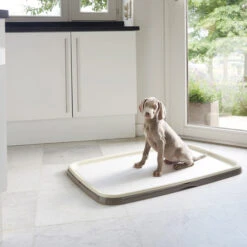 Savic Puppy Trainer + Pads -Heimtierbedarf Verkäufe savic puppy trainer pads 163498 0500 none