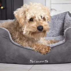 Scruffs Cosy Box Bett -Heimtierbedarf Verkäufe scruffs cosy box bed 209483 0500 none